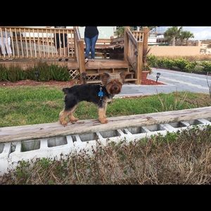 Meet your Posher, Lee